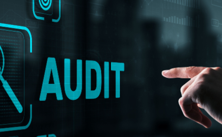 blog-audits-1000x291